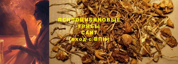 спайс Баксан