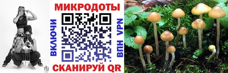 Псилоцибиновые грибы Cubensis  Билибино 